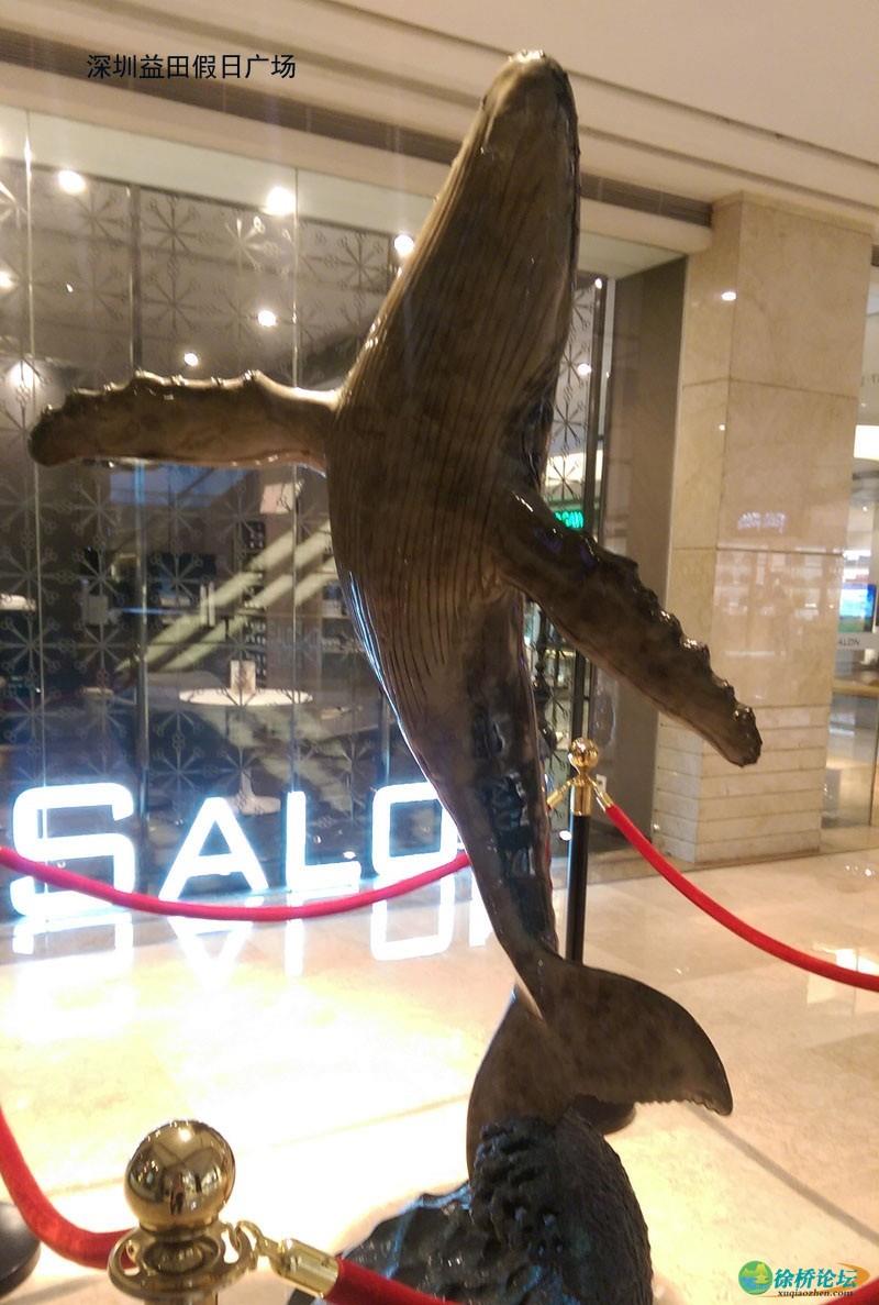259.jpg