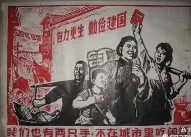 微信图片_20230122075855.jpg