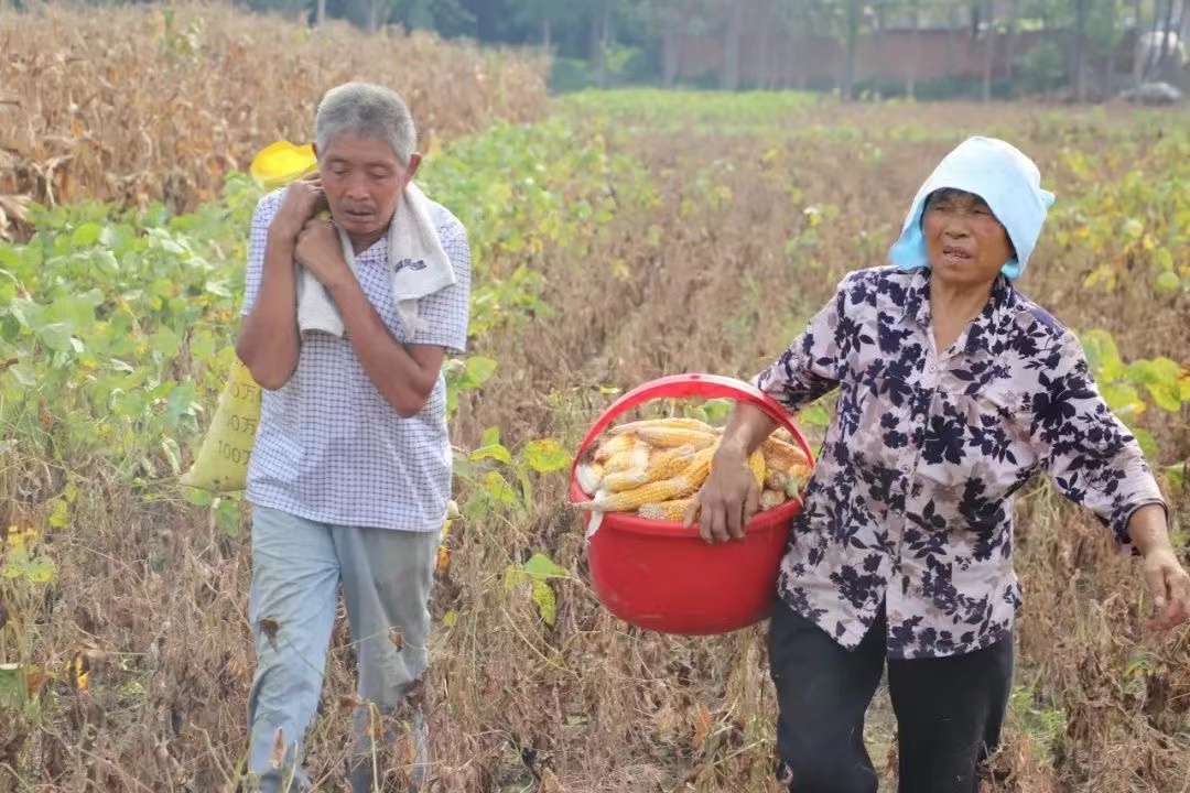 微信图片_20230122075938.jpg