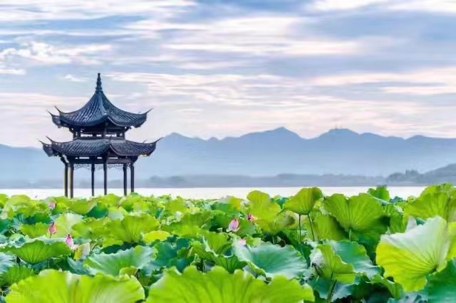 微信图片_20230122080024.jpg