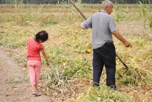 微信图片_20230122075957.jpg