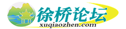 徐桥论坛